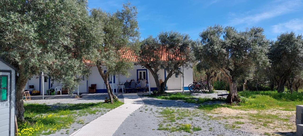 Monte Da Masmorra De Baixo-casa Alentejana Ferienhaus *