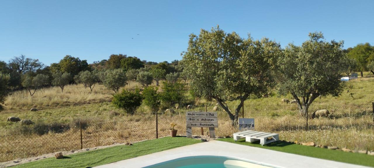 Monte Da Masmorra De Baixo-casa Alentejana Ferienhaus *