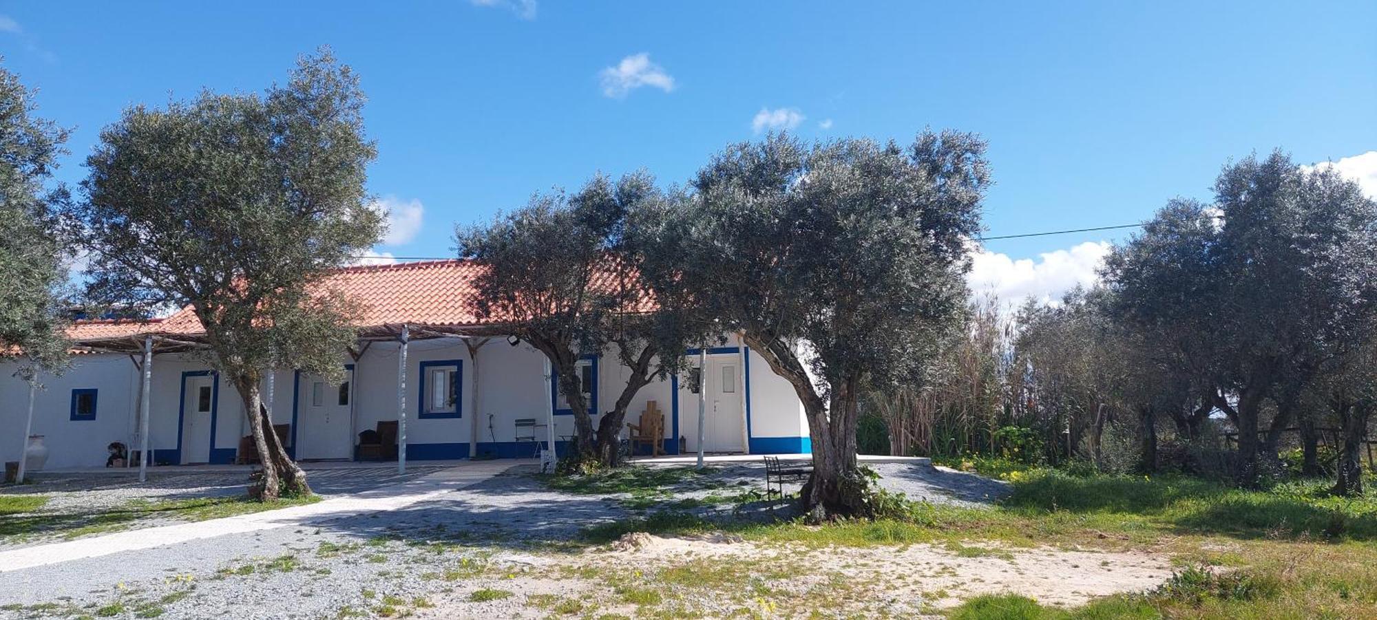 Ferienhaus Monte Da Masmorra De Baixo-casa Alentejana Montemor-o-Novo